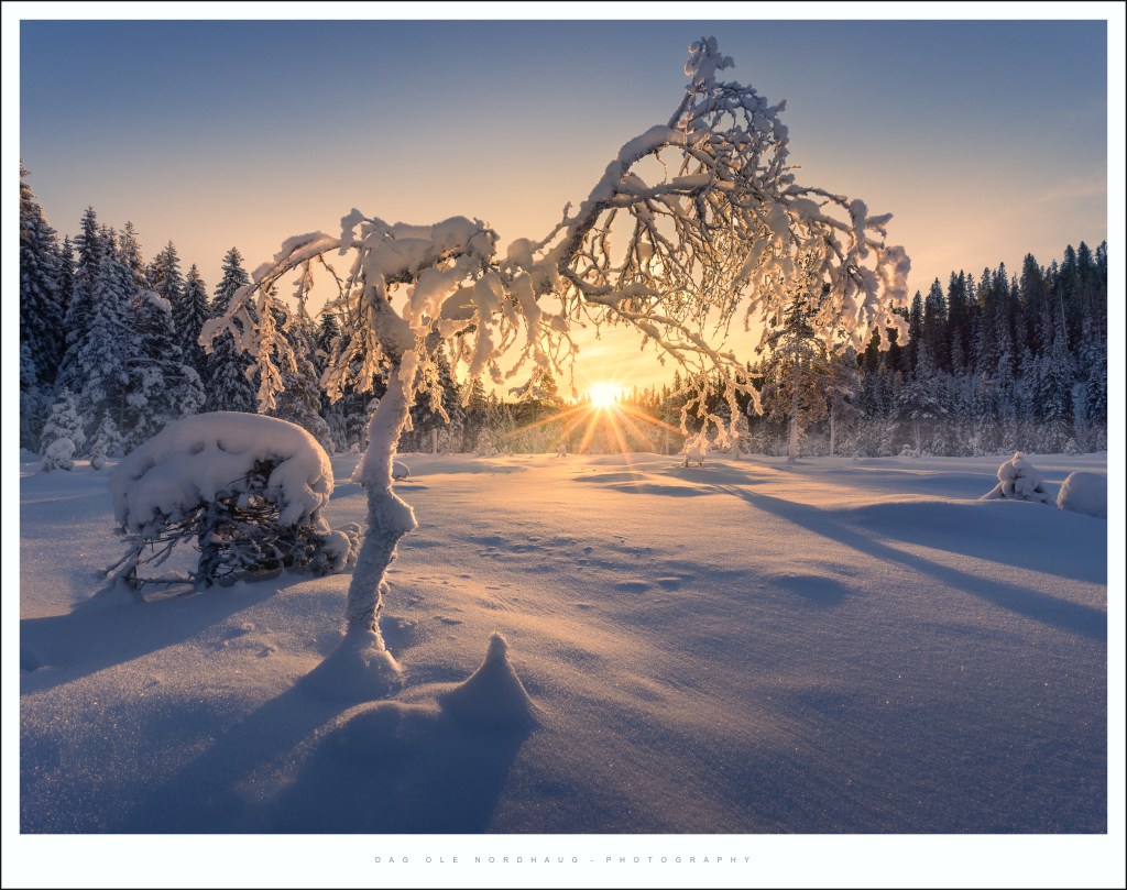 Dress up for&nbsp;winter