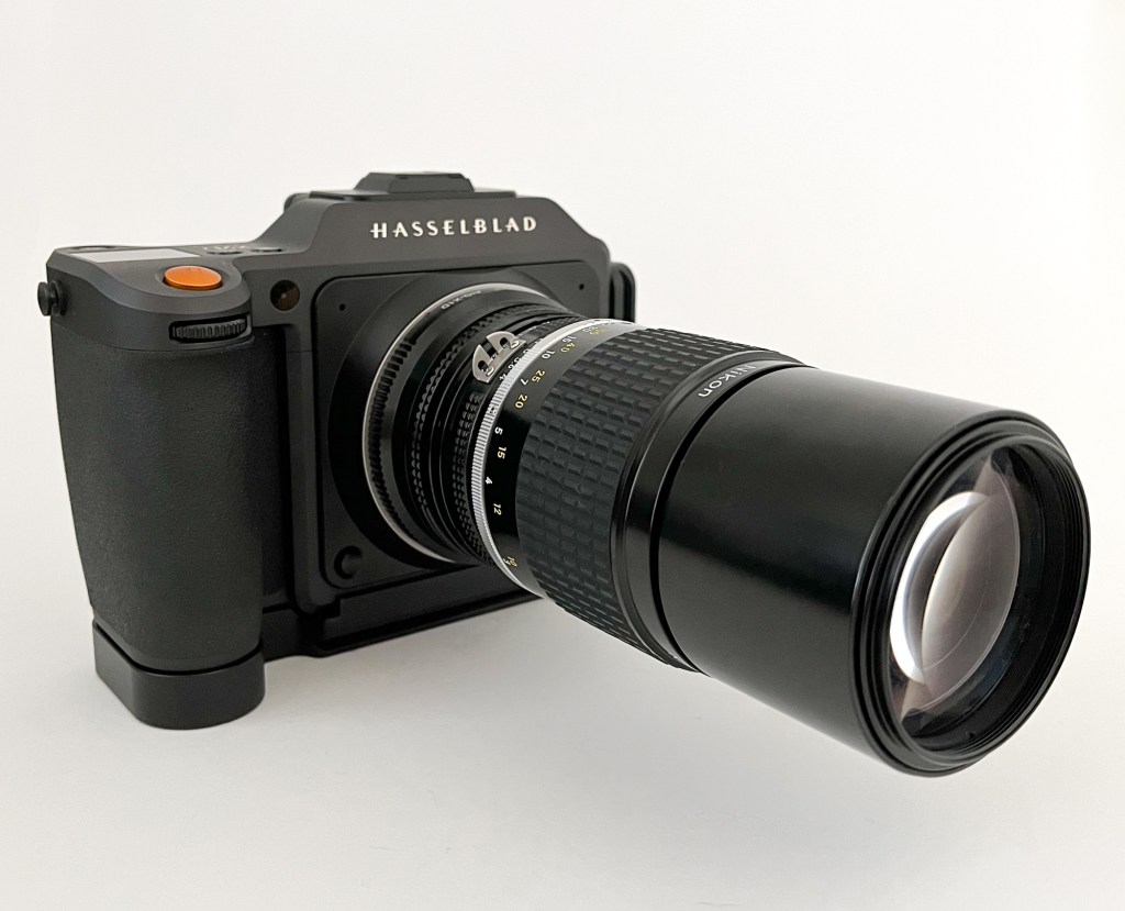 Nikon AI-S Nikkor 200mm f4 on Hasselblad&nbsp;X2D