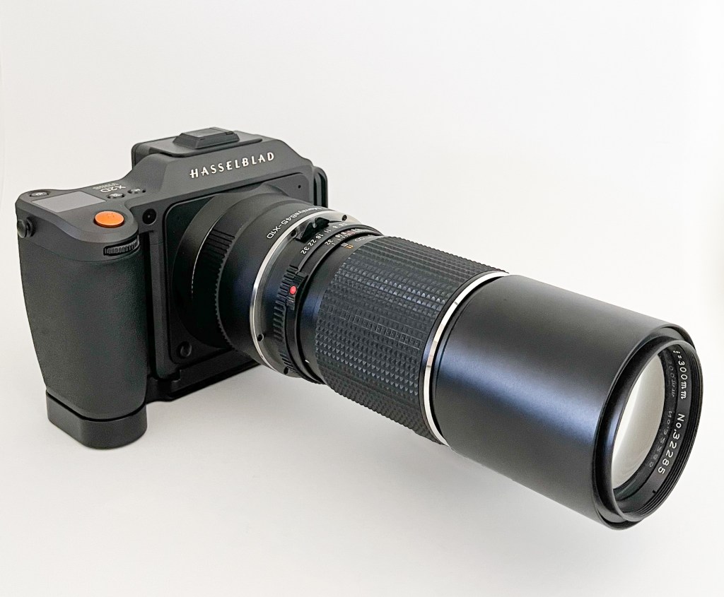 Mamiya 645 Sekor C 300mm f5.6 on Hasselblad&nbsp;X2D