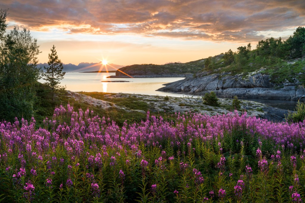 Northern Norway – summer of&nbsp;2023