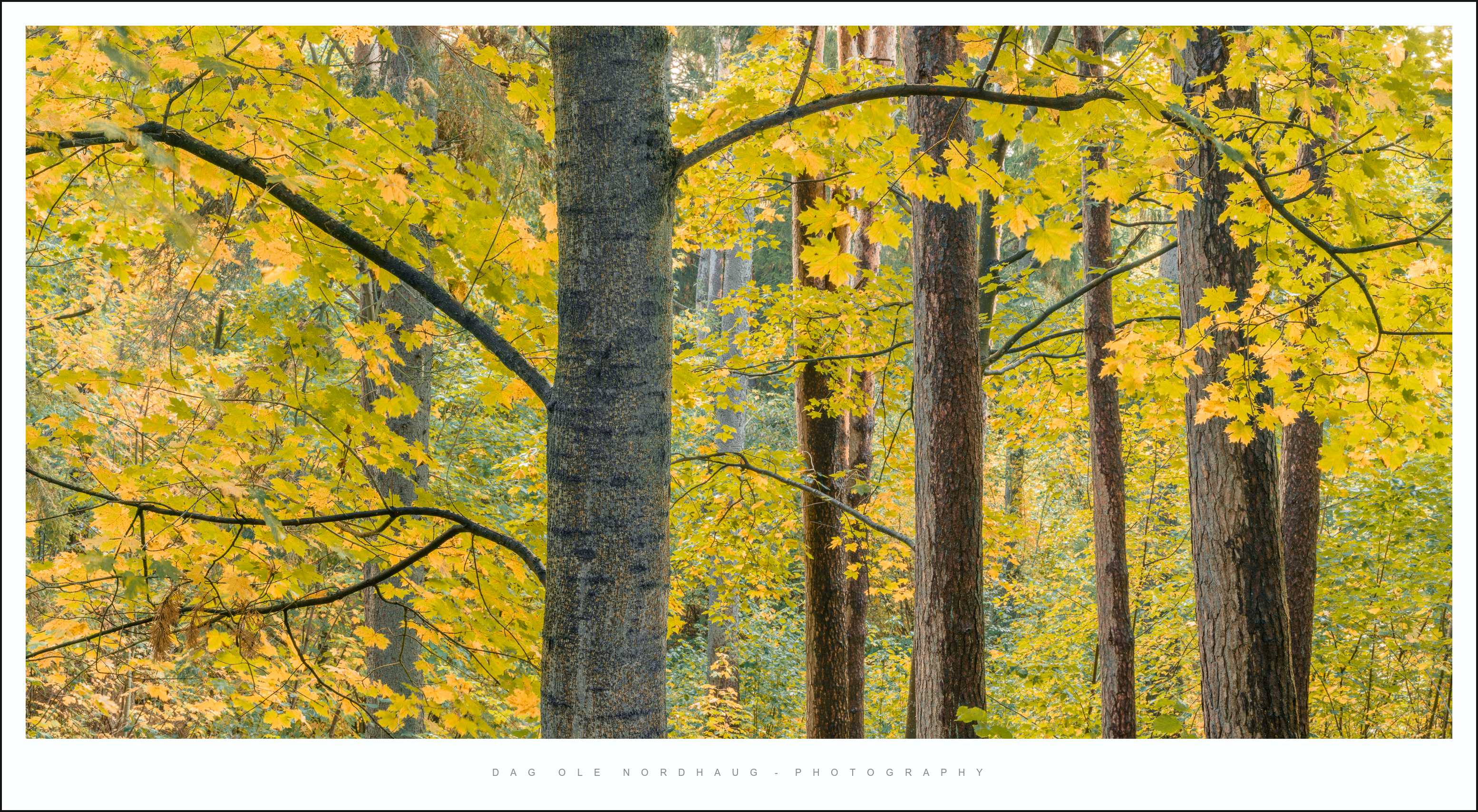 Finale! – LANDSCAPEPHOTOGRAPHY ETC.