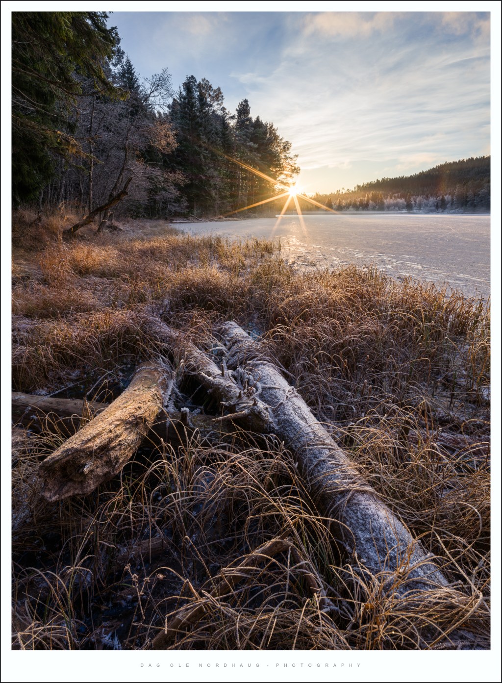 Frozen logs, sunrise