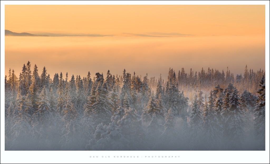 A crisp December&nbsp;morning