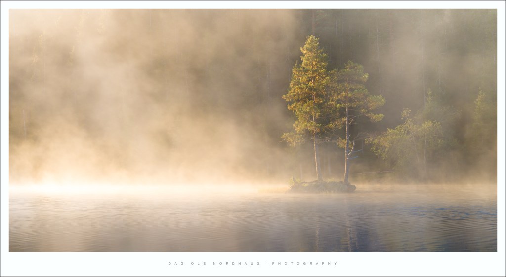 Looking forward to&nbsp;autumn