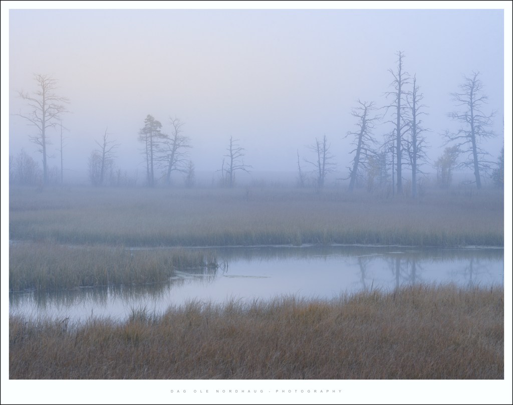 Photographing Rondane, Norway. My annual photo-tour,&nbsp;2024-edition.