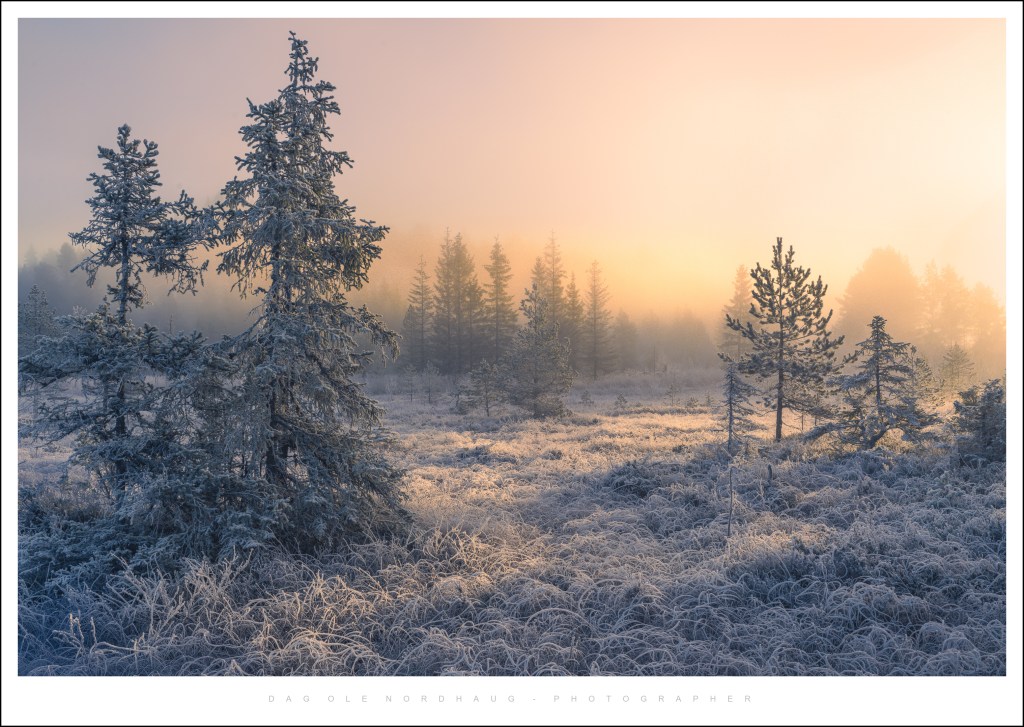 2025 Photography Milestones: New Gear, Techniques and a few favorite&nbsp;images.